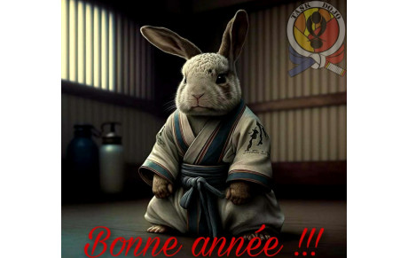 BONNE ANNEE DU LAPIN!
