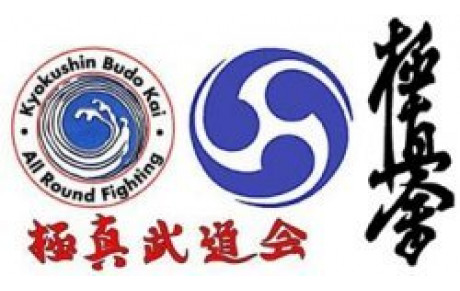 STAGE IBK FRANCE AVEC KAICHO JON BLUMING 10EME DAN