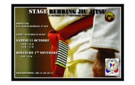 TASK ORGANISATION STAGE BEHRING JIU JITSU